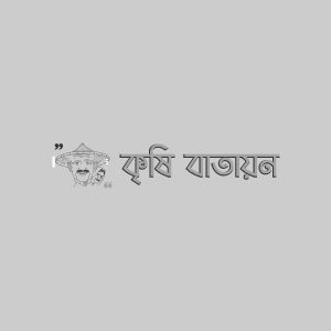 দেবদারুর প্রজাপতি পোকা