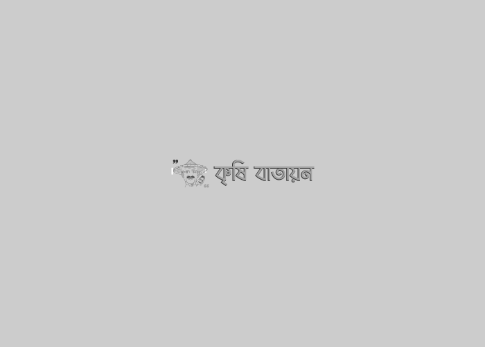 কৃষি কাজ করে কোটিপতি হওয়া এক নুরুন্নাহারের গল্প!